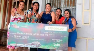 premio hermanas tierra web